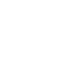 Bird DJs